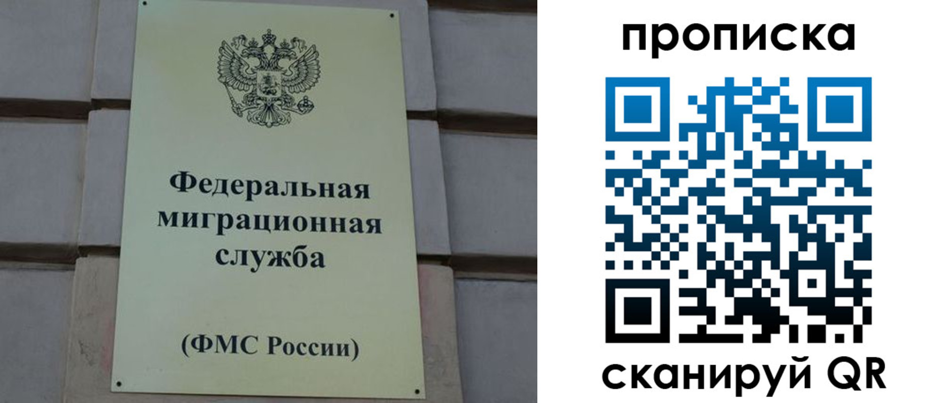 прописка поиск в Арамили